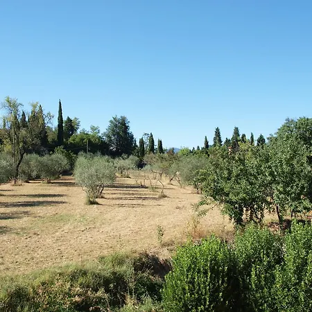 Farm stay Il Palagetto Florence